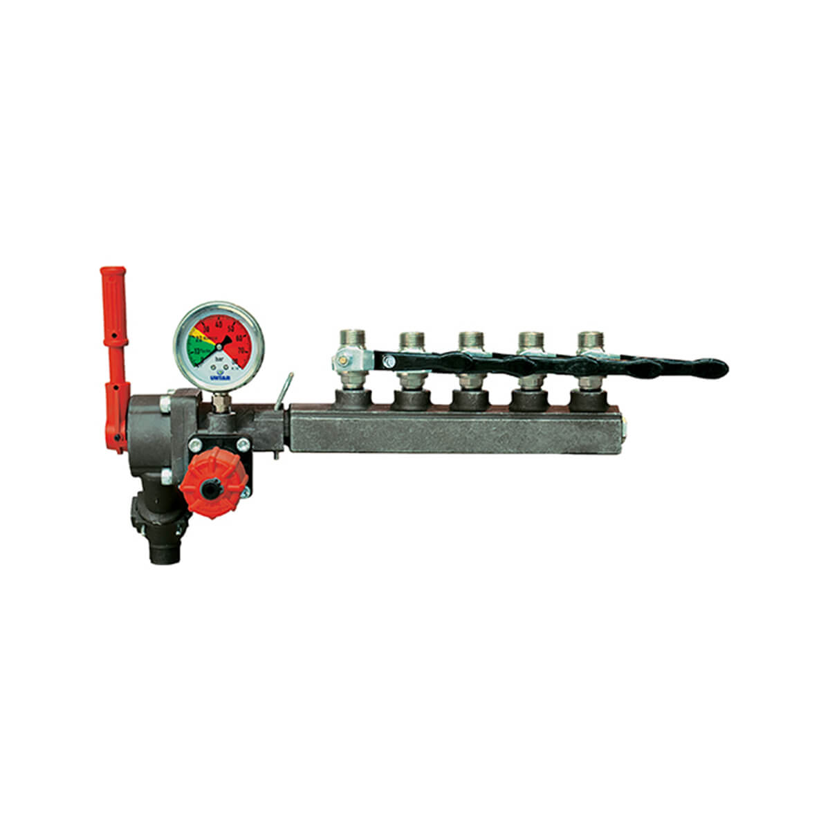 ANK-001 789